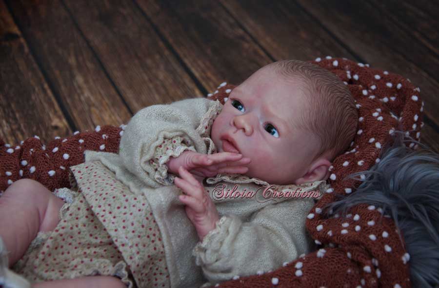 Kailyn Reborn Doll Kit by Petra Lechner