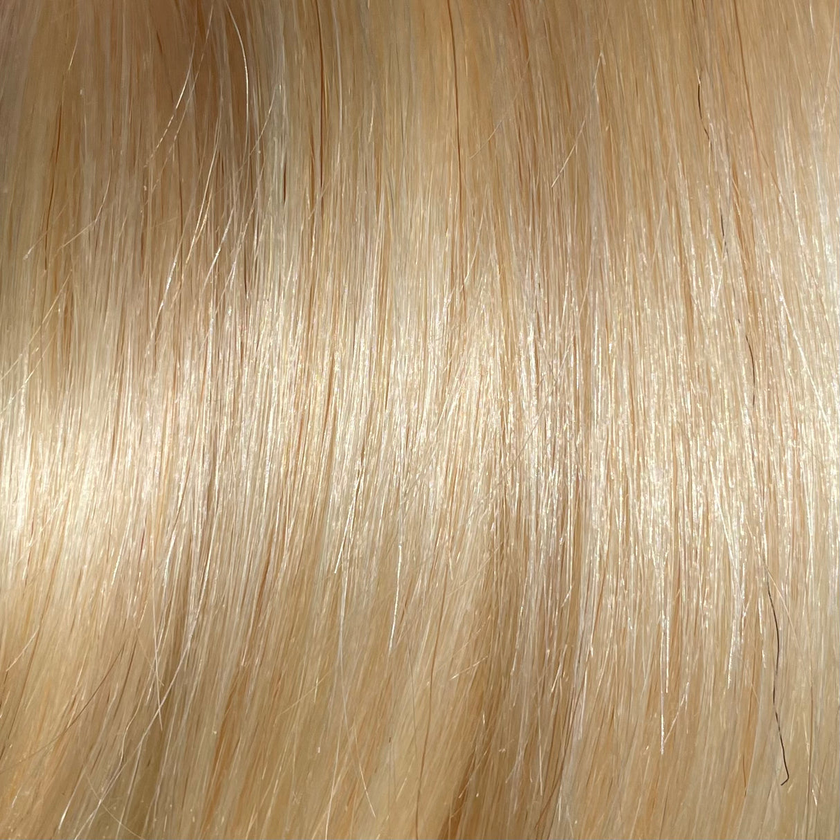 Real Hair for Rooting 25g 10-12"